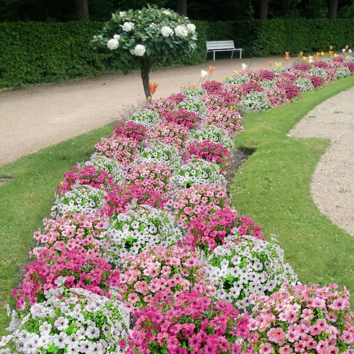 🔥LETZTER TAG 70 % RABATT🔥Outdoor-Pflanzen – Künstliche Blumen