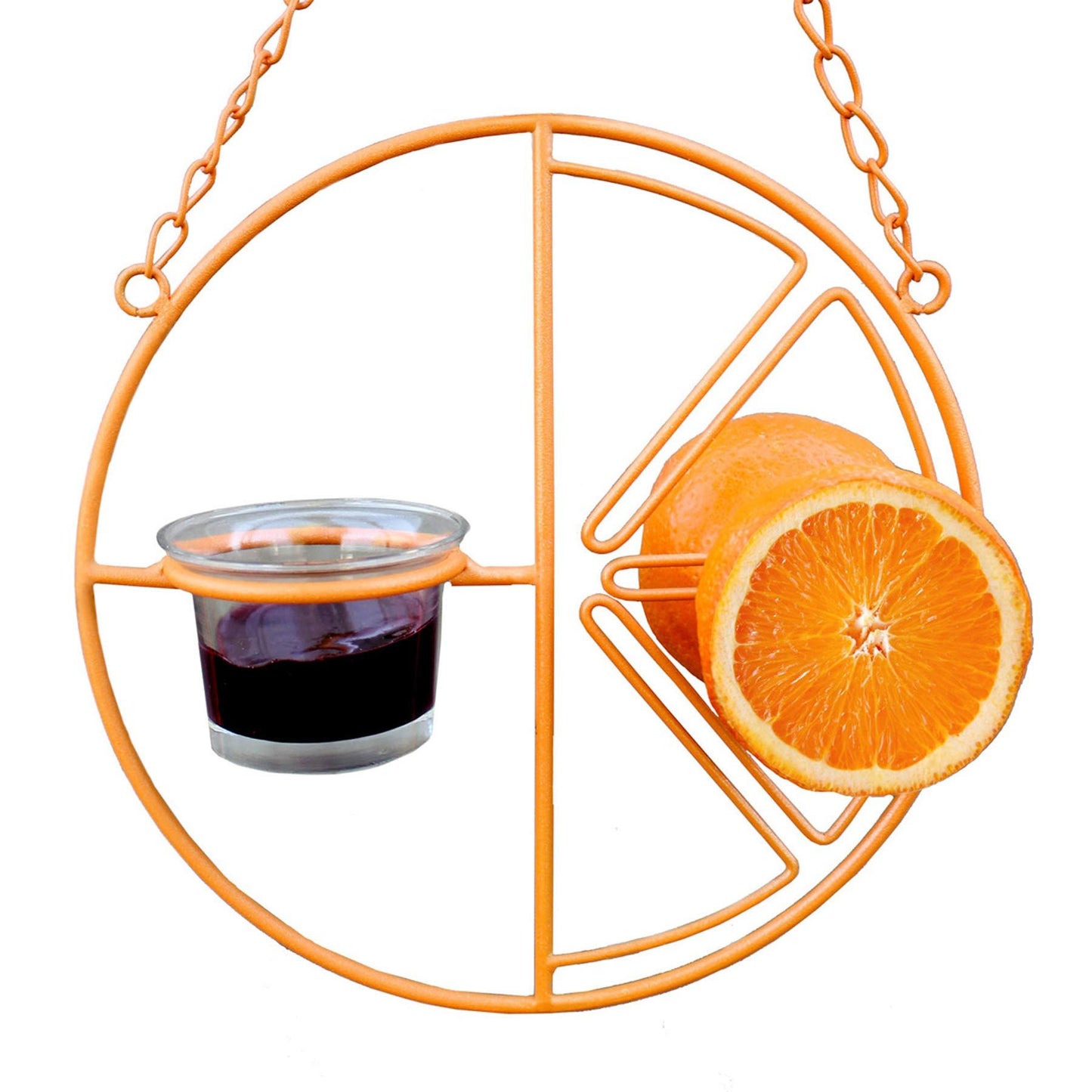 2-in-1 hanging hummingbird oriole feeder