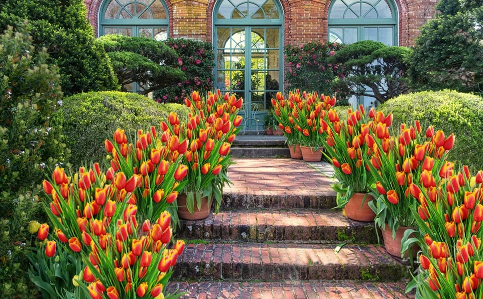 Last Day 70% OFF-Outdoor Artificial Tulips Flowers💐