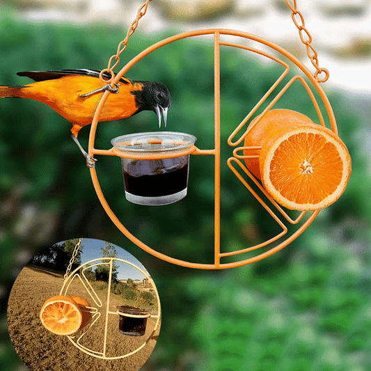 2-in-1 hängender Kolibri-Pirol-Futterspender 