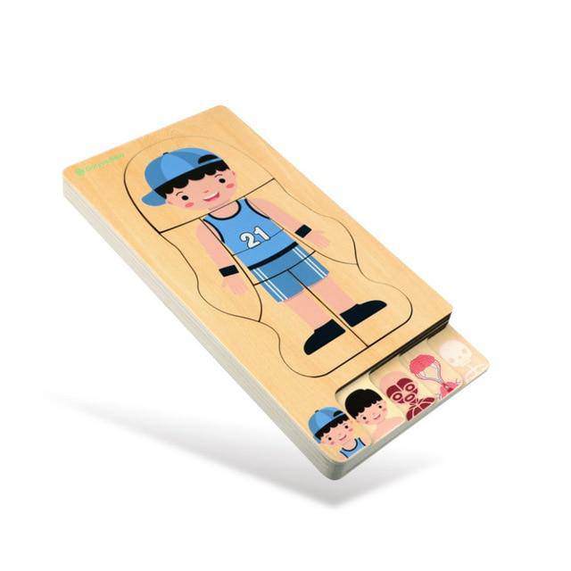 Wooden Human Body Structures Puzzles